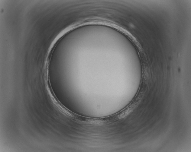 X0000087671522200705040712