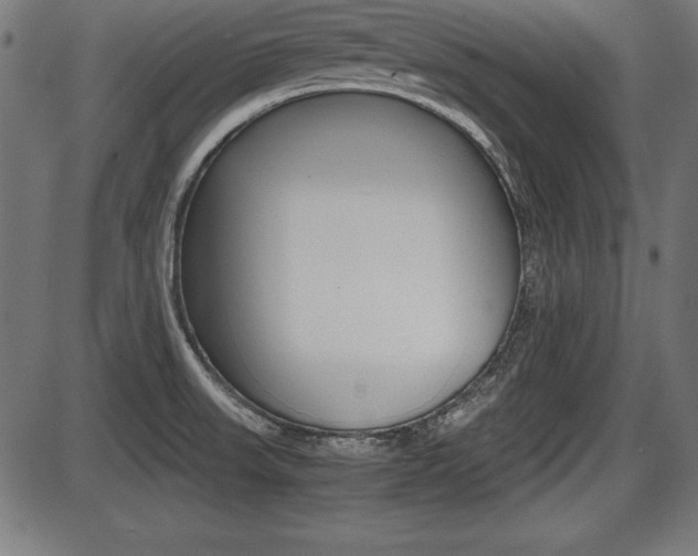 X0000087671523200705040712