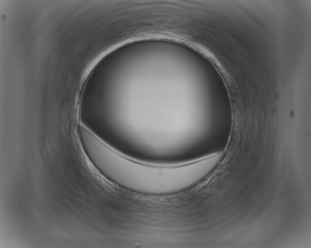X0000087671524200705040712