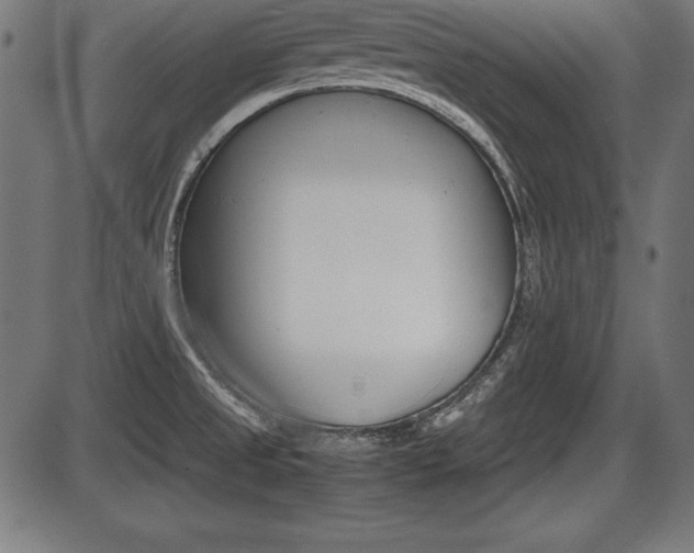 X0000087671525200705040712