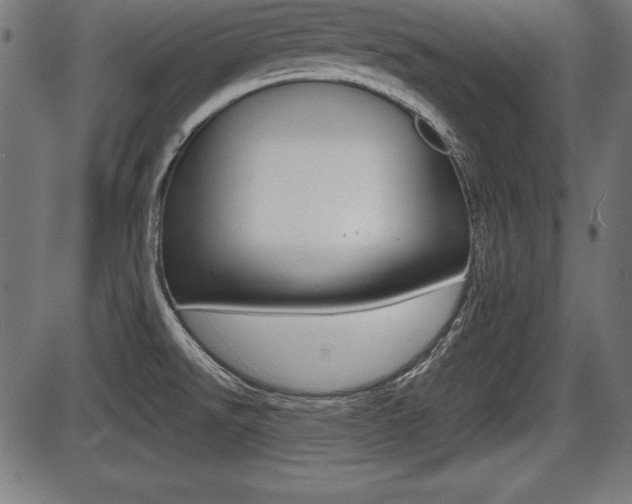 X0000087671526200705040712