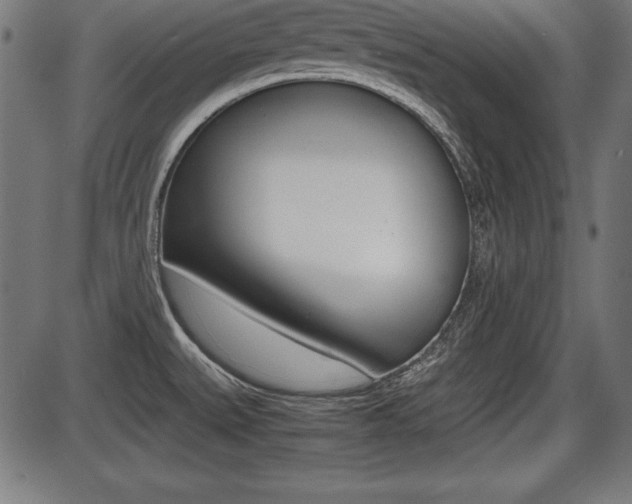 X0000087671527200705040713