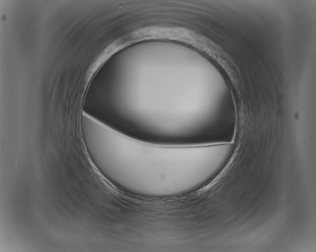X0000087671529200705040713