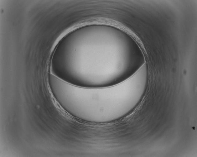 X0000087671530200705040713
