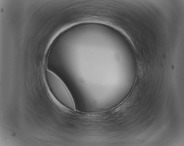 X0000087671531200705040713
