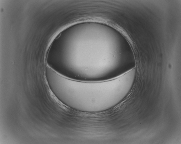 X0000087671532200705040713