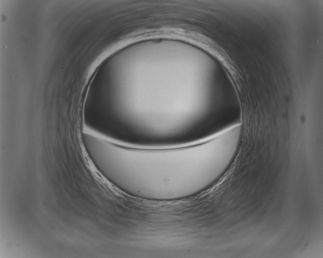 X0000087671534200705040713