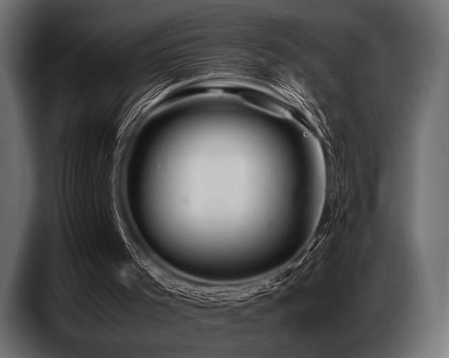 X0000087670001200705041019