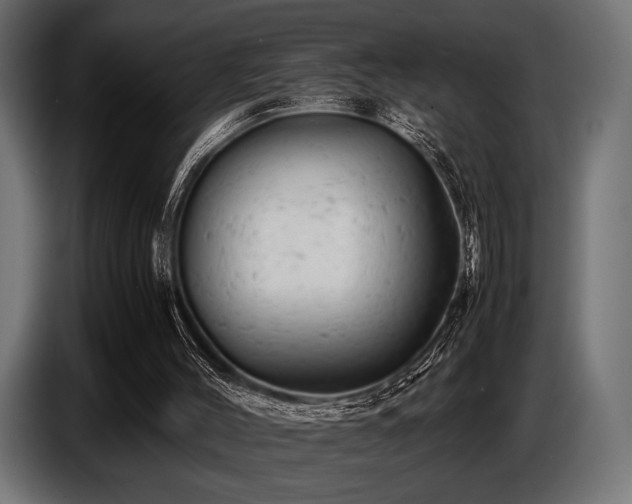 X0000087670004200705041018