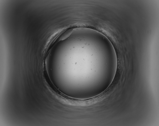 X0000087670015200705041018