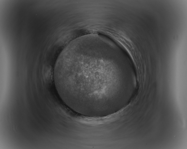 X0000087670029200705041018