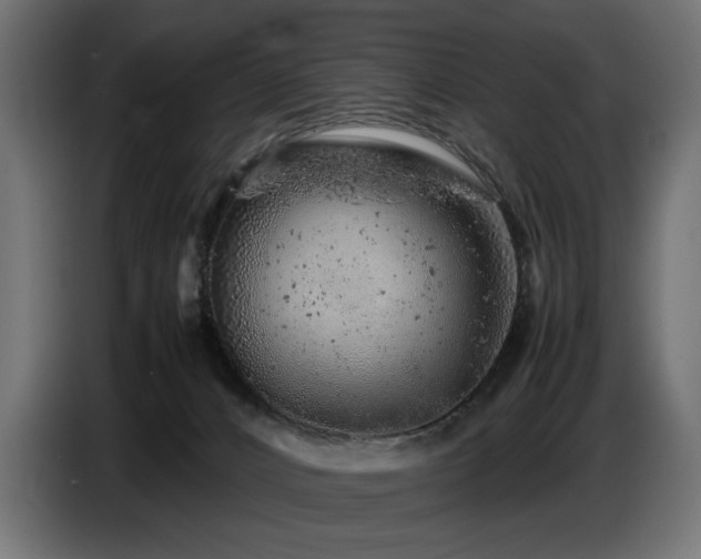 X0000087670032200705041018