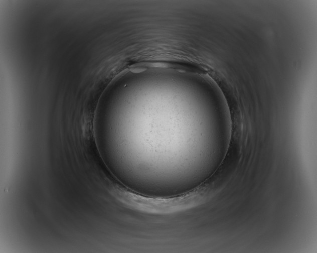 X0000087670034200705041018