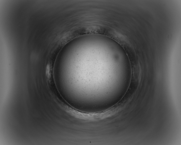 X0000087670038200705041018