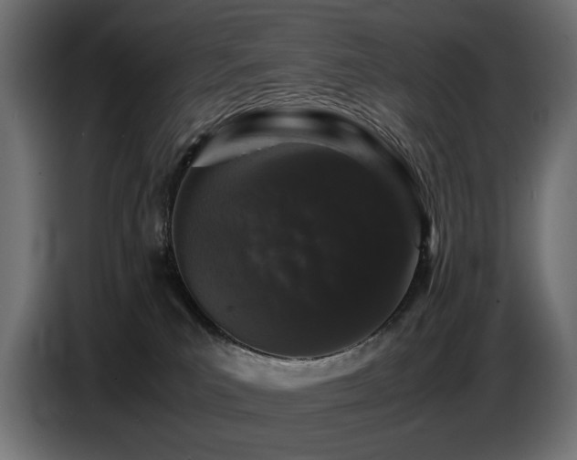 X0000087670039200705041018