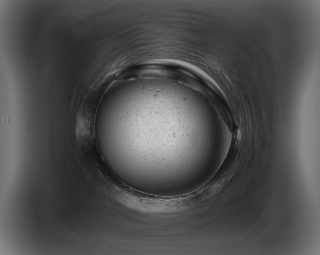 X0000087670044200705041018