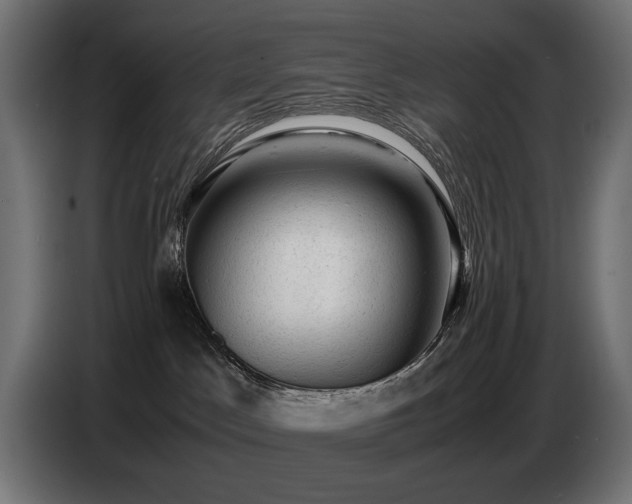 X0000087670045200705041018