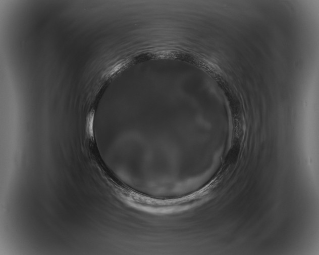 X0000087670047200705041018