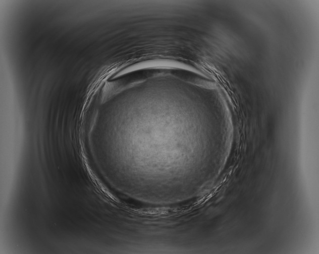 X0000087670049200705041017