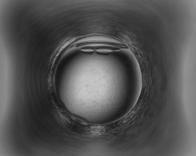 X0000087670050200705041017