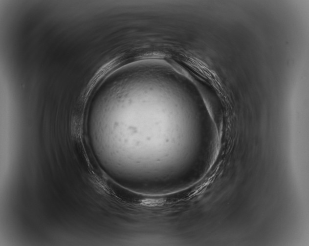 X0000087670051200705041017