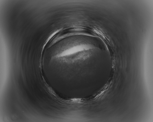 X0000087670052200705041017