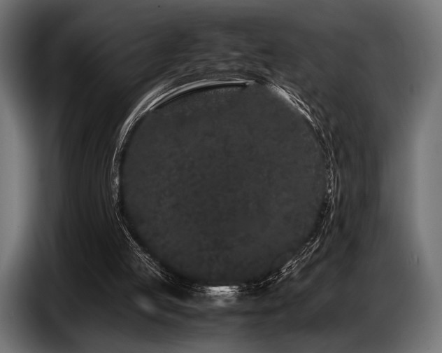 X0000087670053200705041017