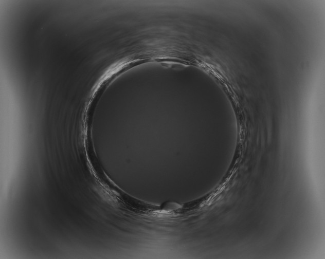 X0000087670054200705041017