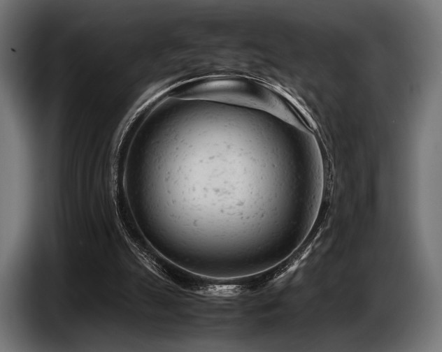 X0000087670055200705041017