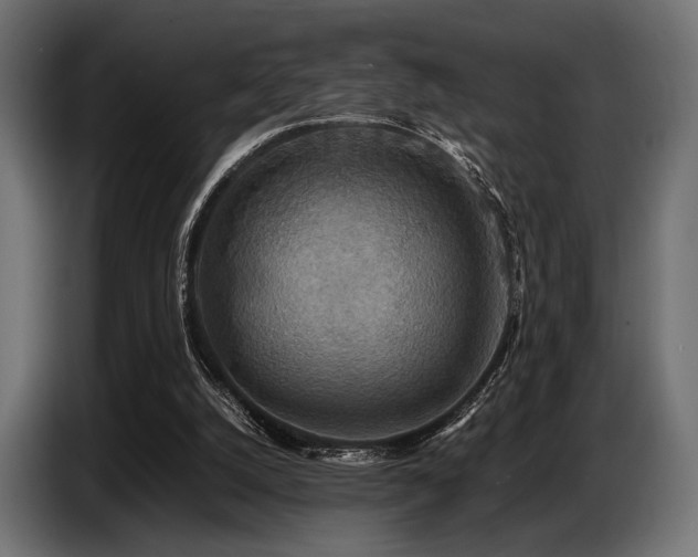 X0000087670056200705041017