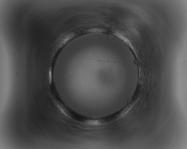 X0000087670061200705041018