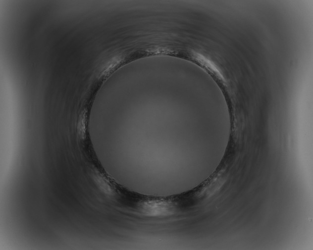 X0000087670065200705041018