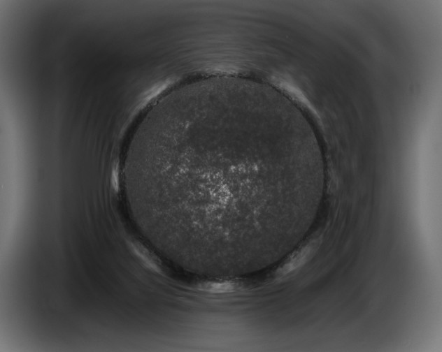 X0000087670068200705041018