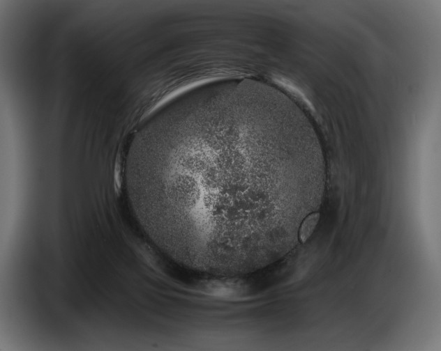 X0000087670069200705041018