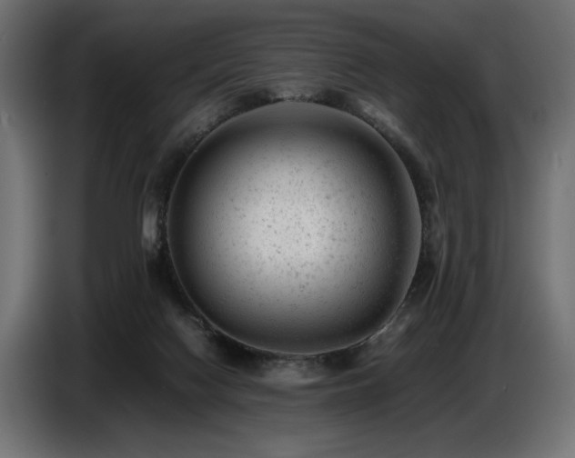 X0000087670074200705041018