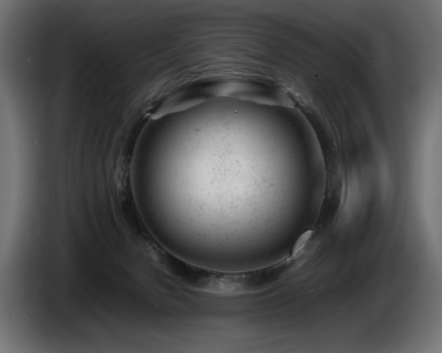 X0000087670078200705041018