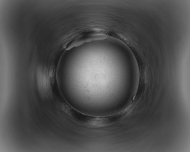 X0000087670082200705041018