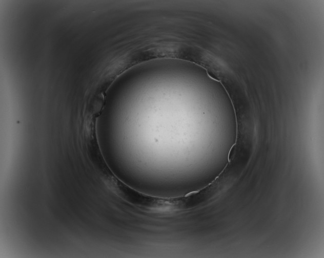 X0000087670083200705041018