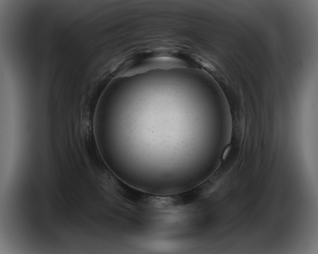 X0000087670085200705041018