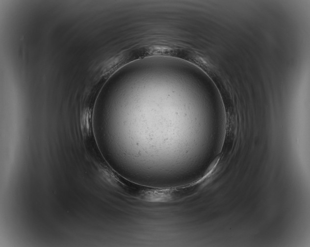 X0000087670094200705041018