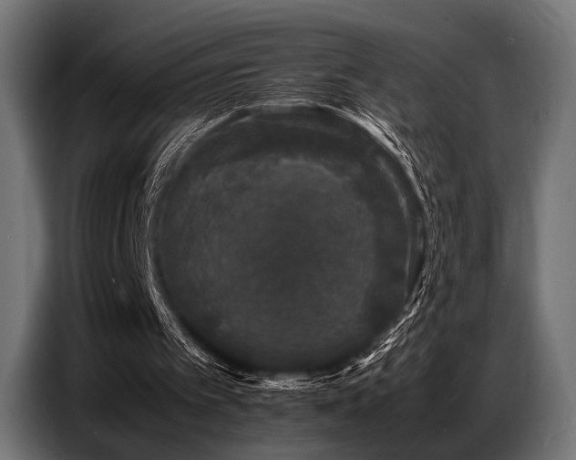 X0000087670097200705041017