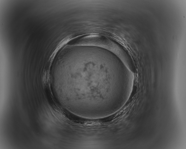 X0000087670099200705041017