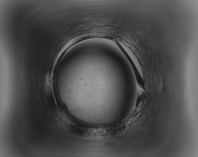 X0000087670100200705041017