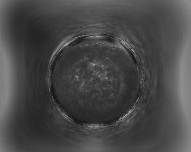 X0000087670101200705041017