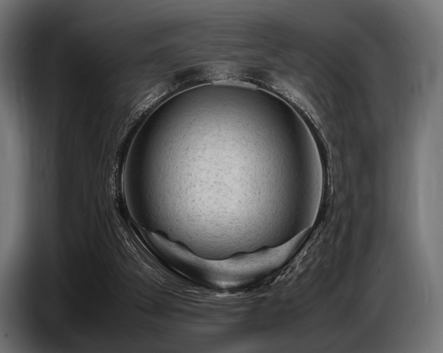 X0000087670105200705041017