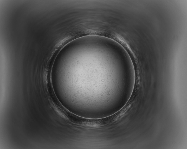 X0000087670106200705041017