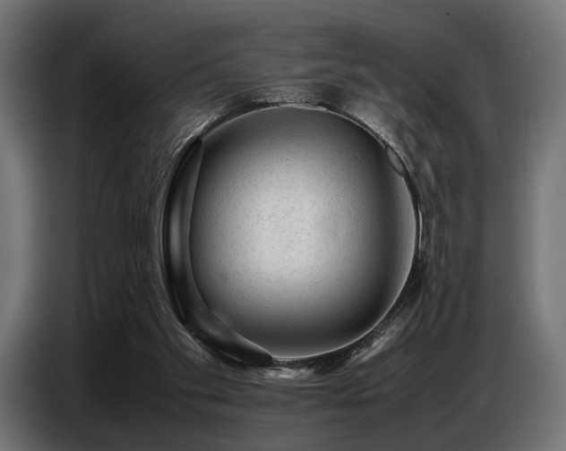 X0000087670109200705041017