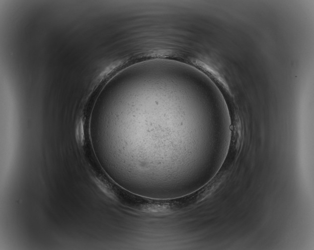 X0000087670110200705041017