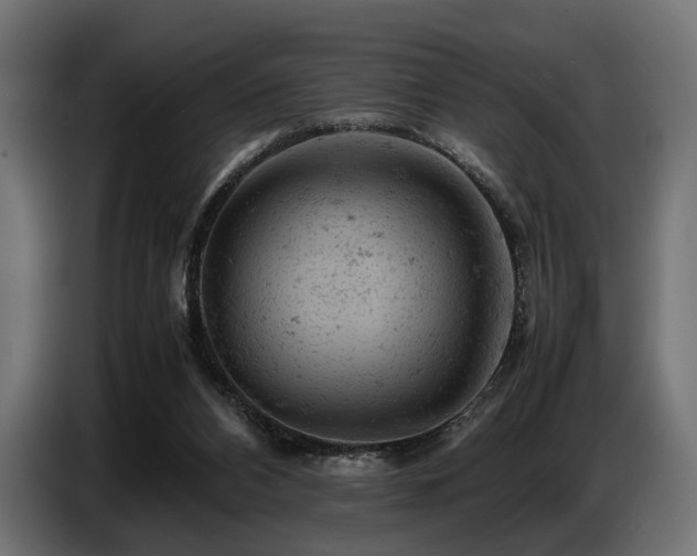 X0000087670112200705041017