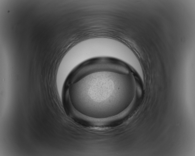 X0000087670121200705041017